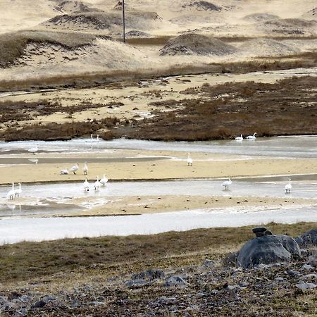 Apartamento Stekkar 23 Patreksfjordur Exterior foto