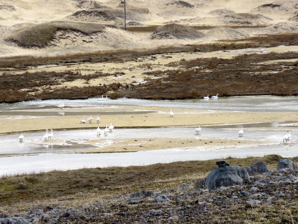 Apartamento Stekkar 23 Patreksfjordur Exterior foto